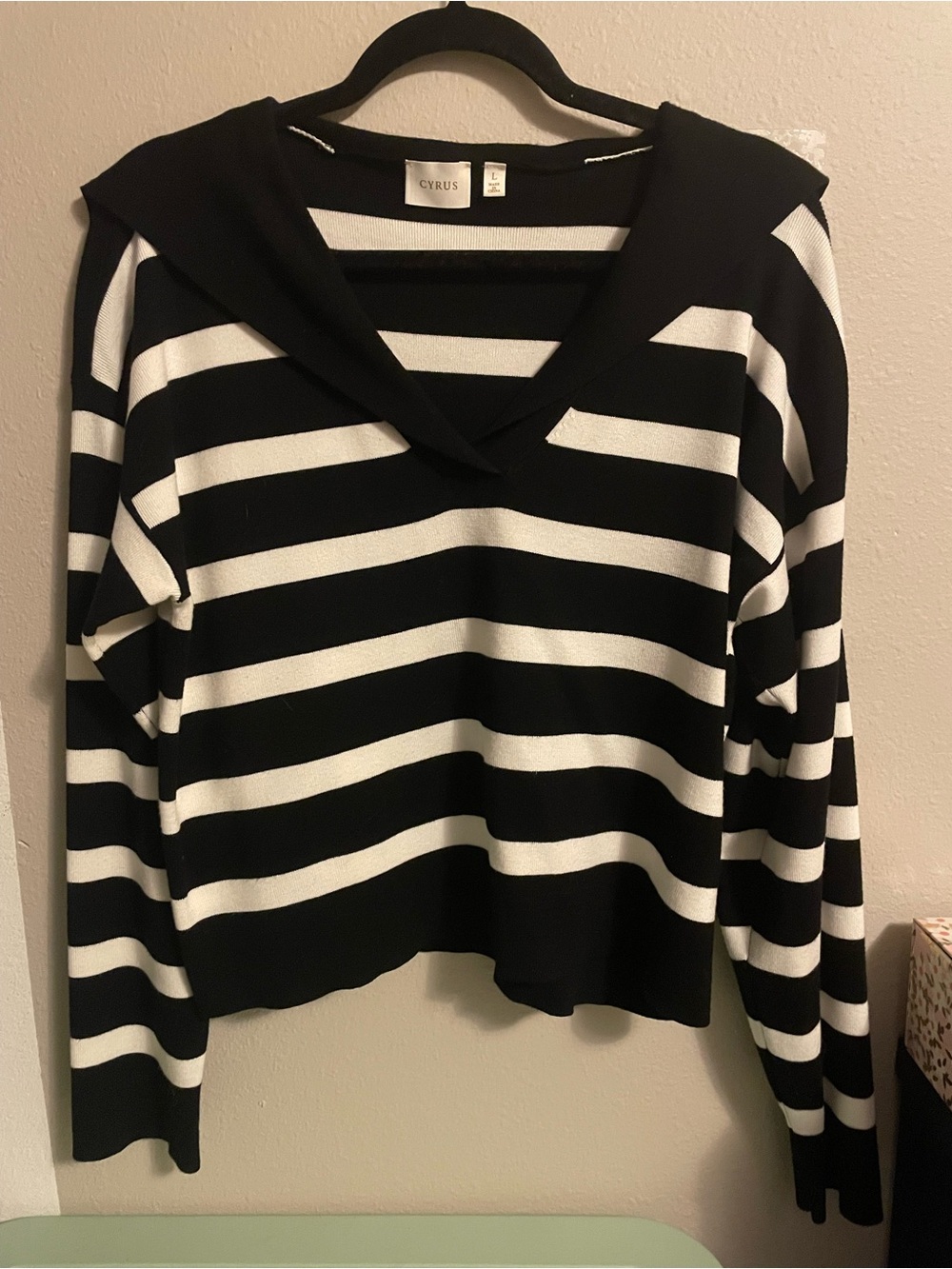 Cyrus Women's Black & White Striped V-Neck Sweater